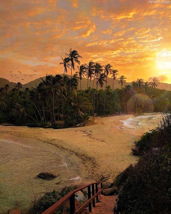 Hotel Jasayma Dentro Del Parque Tayrona Эль-Саино Экстерьер фото