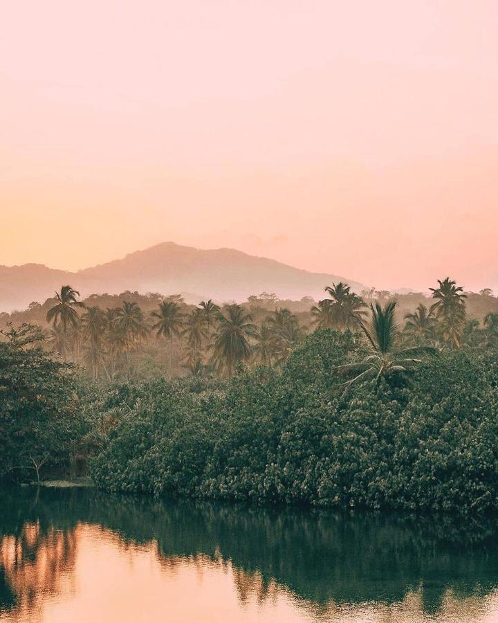 Hotel Jasayma Dentro Del Parque Tayrona Эль-Саино Экстерьер фото