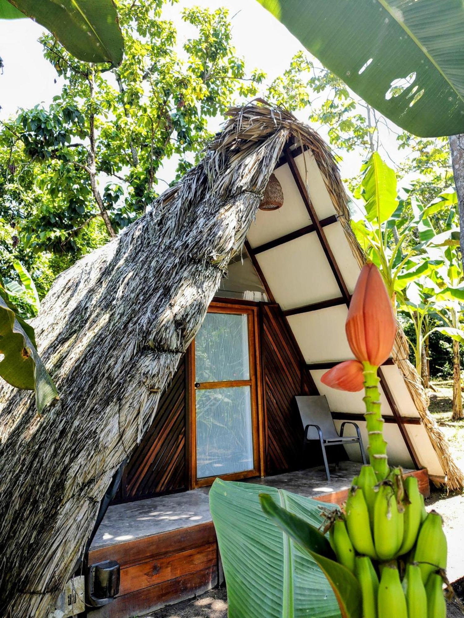 Hotel Jasayma Dentro Del Parque Tayrona Эль-Саино Экстерьер фото